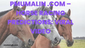Pmumalin .com – Horse Racing Predictions: Viral Video